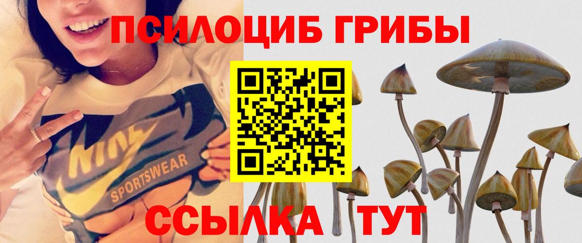 Псилоцибиновые грибы мухоморы  Вход с VPN  Щёлково 