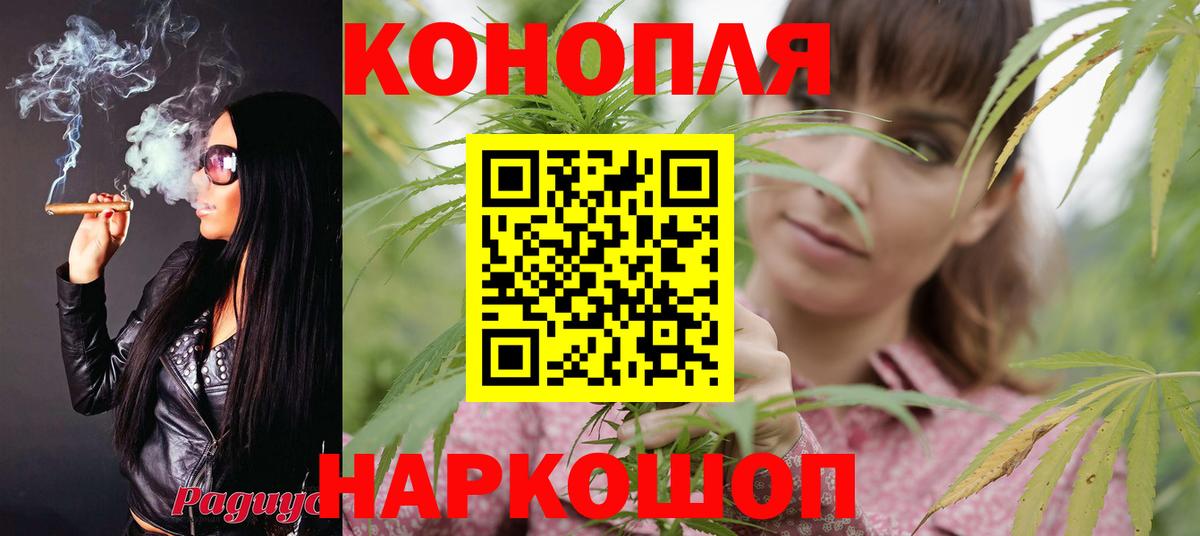Бошки Шишки SATIVA & INDICA Щёлково